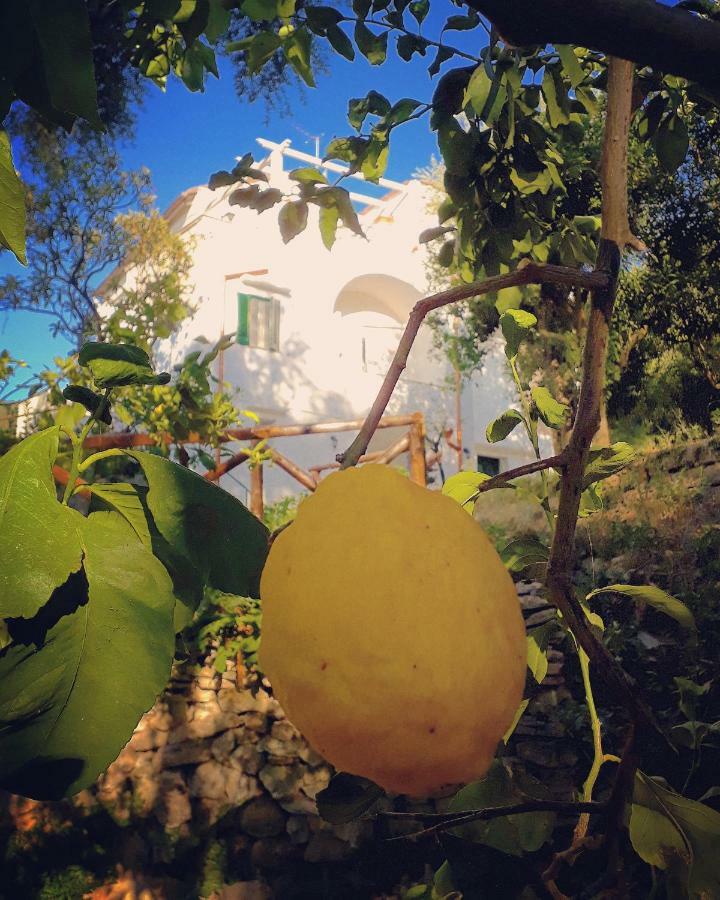 Villa Beatrice Sorrento Exterior photo